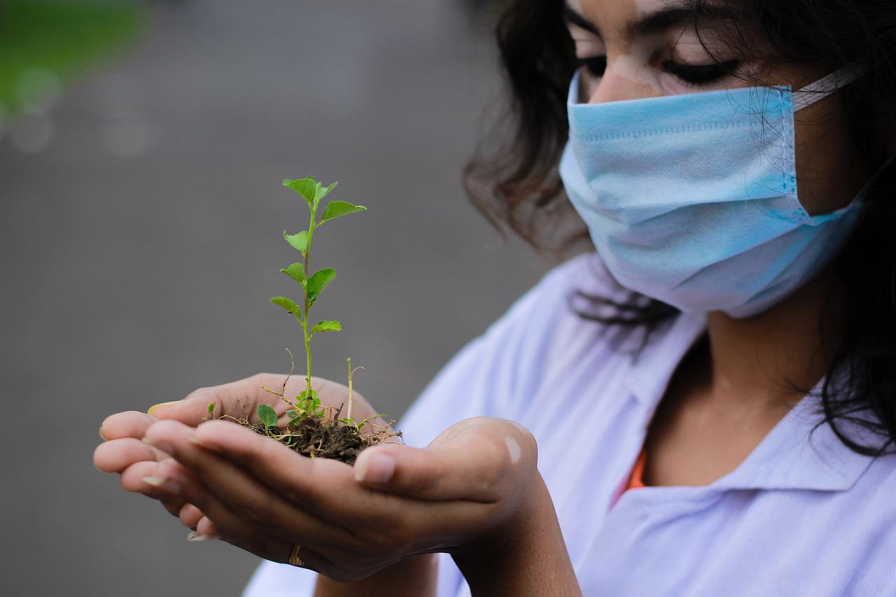 plant, seedling, researcher-6257392.jpg